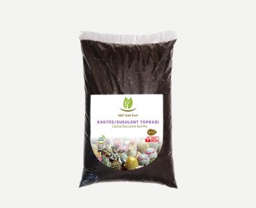 KAKTÜS SKULENT TOPRAĞI 2.5 LT